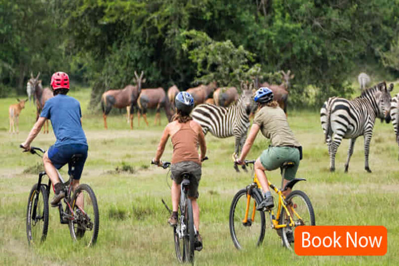 3 Days Lake Mburo Biking Safari- Family Adventure