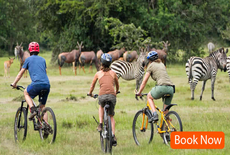 3 Days Lake Mburo Biking Safari- Family Adventure