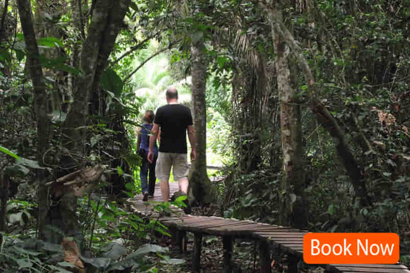 10 Days Uganda Highlight Safari - All Inclusive Private Tour