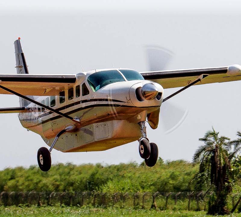 3 Days Gorilla Fly in Safari